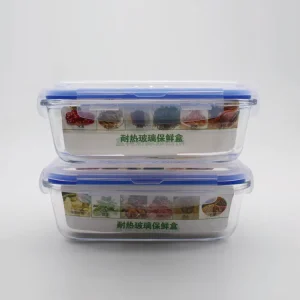 1000ml High Borosilicate Glass Bowl Food Container
