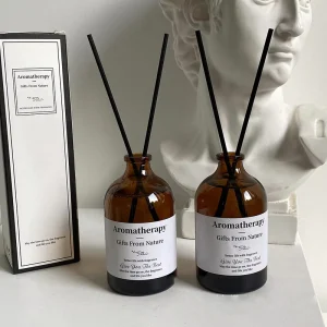 100ml 3.3oz Glass Reed Stick Diffuser Bottle with Stopper for Home Fragrance Oils