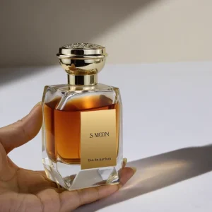 100ml Empty Glass Refillable Perfume Spray Bottle for Parfum Packaging