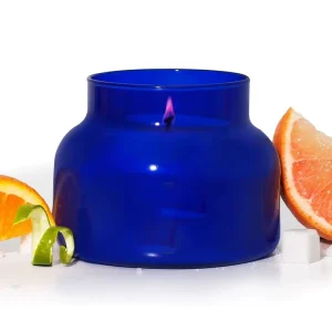 19oz Scented Candle Glass Jar for Home Tropical Fruit Sugared Citrus Soy Wax Blend Blue