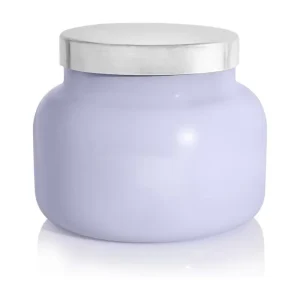 19oz Scented Candle Glass Jar for Home Tropical Fruit Sugared Citrus Soy Wax Blend Purple