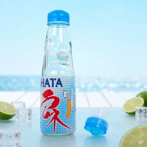 200ml Custom Glass Bottle with Screen Printing Rubber Stopper for Industrial Use Beverage Packaging