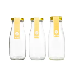 300ml Clear Glass Beverage Bottle with Screw Lid