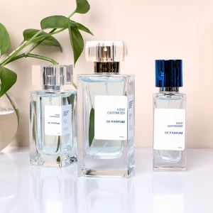 30ml 50ml 100ml Glass Perfume Spray Bottles Cosmetic Container with Pump Sprayer and Gift Box Packaging
