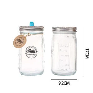 32 oz Fermentation Jar 2-Pack with Fermenting Weights and Airlocks for Pickling