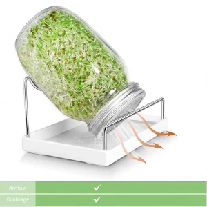 32oz Sprouting Glass Jar Kit With Metal Lid, Ceramic Tray and Stainless Steel Stand, 1 Pack
