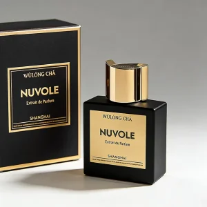 50ml Black Empty Square Glass Perfume Bottle with Packaging
