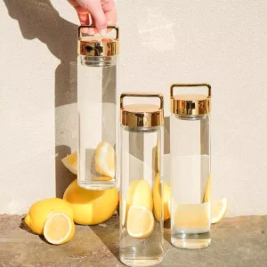 700ml Fruit Water Glass Bottle with Gold Lid
