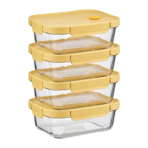 Borosilicate Glass Food Container Lunch Box with Lid, Oven-Safe, Airtight, with Bag