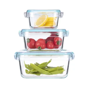 Borosilicate Glass Food Storage Box with Plastic Lid, Microwavable, Airtight, Leakproof, BPA-Free, Stackable