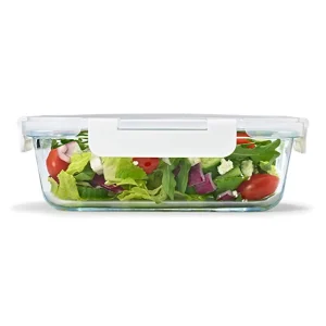 Borosilicate Glass Food Storage Container Grade Glass Compart Lunch Box Glass Food Storage Container Set With Airtight Lid