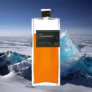 China Manufacture 100ml 200ml 500ml 750ml 1000ml Glass Bottles Rectangular Bottle Spirit Vodka Glass Bottles with Cork