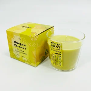 Clear Glass Jar Votive Candles with Long-Burning Colorful Soy Wax for Wedding Favors