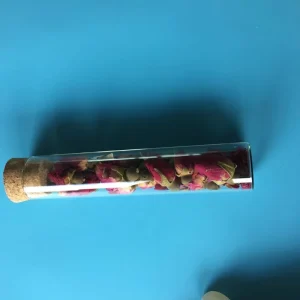 Creative Clear Glass Test Tube Tea Leak Filter with Cork