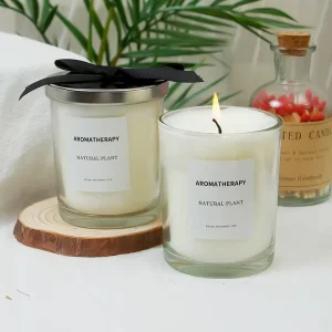 Custom Private Label Soy Wax Aromatherapy Candles Glass Jar Scented Candles for Christmas Weddings Holiday Home Decor