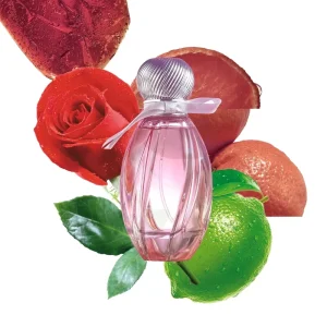 Customized Woody Spicy Floral Eau Fraiche Perfume in Glass Spray Bottle for Women