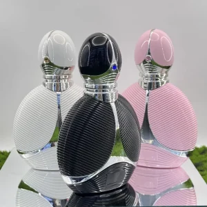 Dubai Style 100ml Empty Glass Perfume Bottle with Hot Stamping Custom Color OEM ODM Carton Packaging