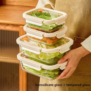 Eco Friendly Glass Food Container with Divided Lid Microwavable & Fridge Safe Back to School Lunch Box Set