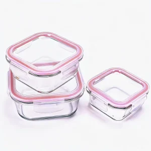 Factory Transparent Glass Meal Box with Sealed Lid for Food Storage