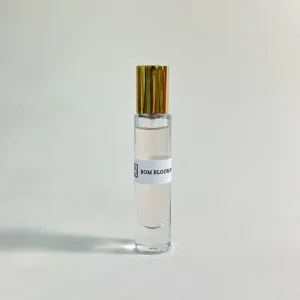 Glass Atomizer Spray Bottle with Continuous Mist Pump for Perfume
