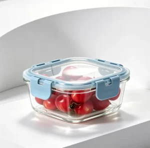 Glass Food Container