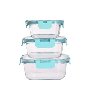 High Borosilicate Glass Leakproof Microwavable Bento Lunch Box Sets, BPA-Free, Dishwasher-Safe