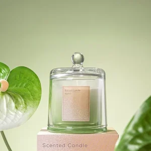 High quality Factory of Luxury Transparent Glass Candle Jars Cups Wedding Bell shaped Jars with Glass Dome LIDS