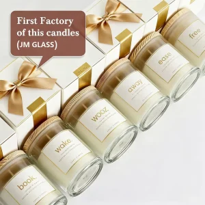 Holiday Scented Candle Gift Set Handmade 100% Organic Soy Wax Aromatherapy Fragrance Glass Jar