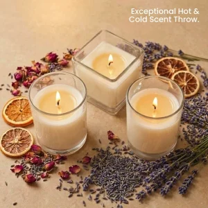 HongYu 20 Hours Smooth Soy Wax Candle Glass Jar Cup Shape Aromatherapy