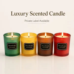 Luxury Colorful Matte Glass Jar Scented Candle with Wooden Lid Natural Soy Wax Aromatherapy Private Label Home Decor Gift Set