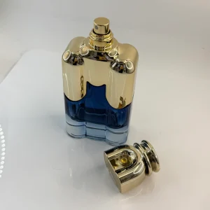 Made in China 100ml Perfume Bottle for Filling Customizable Glass Model 2510