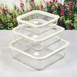 New Glass Food Storage Container Glass Lid Microwave Oven Safe Dishwasher Safe Back School Kitchen Use Modern Printing Design