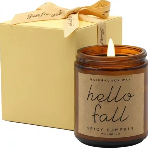 Pumpkin Spice Scented Candle Handmade Soy Wax Candle Gift Box