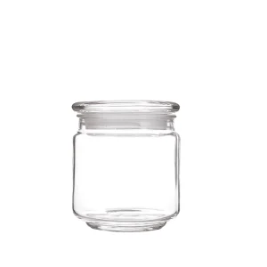 Reusable 500ml Airtight Glass Food Storage Container with Silicone Seal Lid