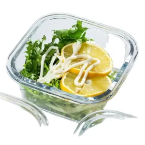 Square Borosilicate Glass Food Storage Bowl with Plastic Lid