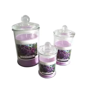 Wedding Home Bars Glass Candle with Scented Jar China Factory Supply for Home Decoration