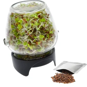 and Customize Wide mouthed PP Food grade Germination LIDS and Glass Containers for Home Germination